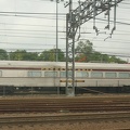 DSC_5677a.jpg
