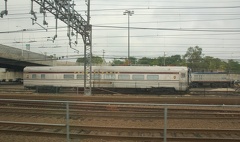 DSC_5678a.jpg