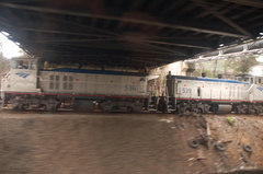 DSC_5689.jpg