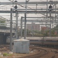 DSC_5692a.jpg