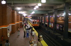 DSC_5868af.jpg