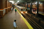 DSC_5887f.jpg