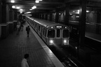 DSC_5888abwf.jpg