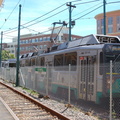 DSC_6236a.jpg