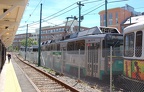 DSC_6236a.jpg