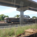DSC_6252a.jpg