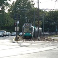 DSC_6328a.jpg