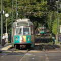 DSC_6341a.jpg