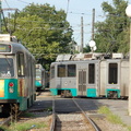 DSC_6353a.jpg