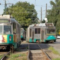 DSC_6355a.jpg