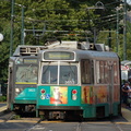 DSC_6366a.jpg