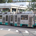DSC_6375.jpg