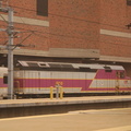 DSC_6443a.jpg