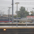 DSC_6466a.jpg