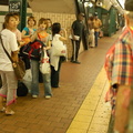 DSC_6610f.jpg
