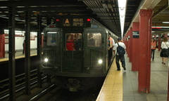 DSC_6681a.jpg