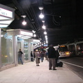 IMG_2991f.jpg