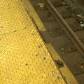 DSC_7753a.jpg