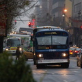 DSC_7970af.jpg