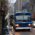 DSC 7975b