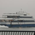DSC 8032a