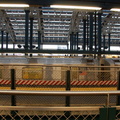 DSC_8444a.jpg