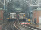 DSC_8491a.jpg