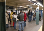 DSC_8550a.jpg