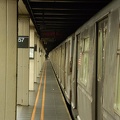 DSC_8556.jpg