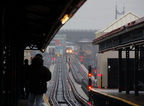 DSC_8616a.jpg