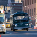 DSC_8862a.jpg