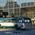 DSC_8875a.jpg