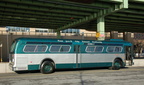 DSC_8945a.jpg