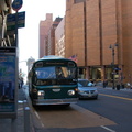 DSC_9008a.jpg