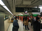 New side platform @ Pavonia/Newport. Photo taken by Brian Weinberg, 11/24/2003.