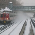 IMG_8279a