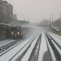 IMG_8280