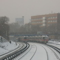 IMG_8285a