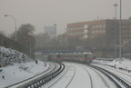 IMG_8285a