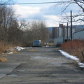 IMG_7731.jpg