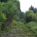 DCP_1326.JPG