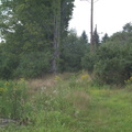 DCP_1329.JPG