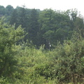 DCP_1333.JPG