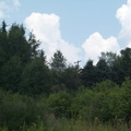 DCP_1334.JPG