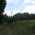 DCP_1335.JPG