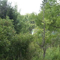 DCP_1338.JPG