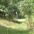 DCP_1339.JPG