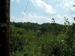 DCP_1354.JPG