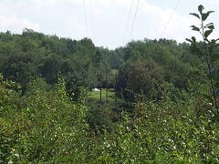 DCP_1355.JPG