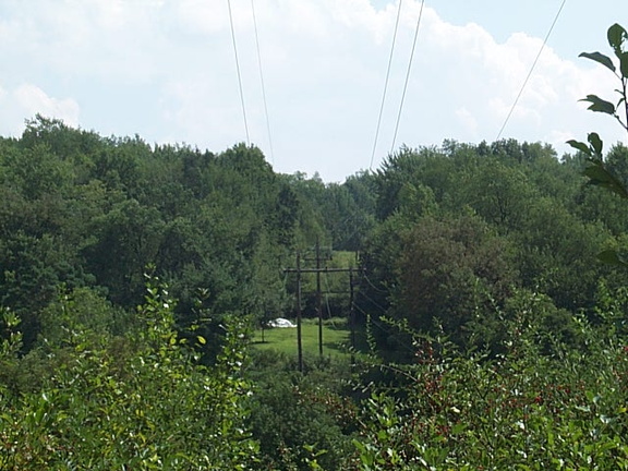 DCP_1356.JPG